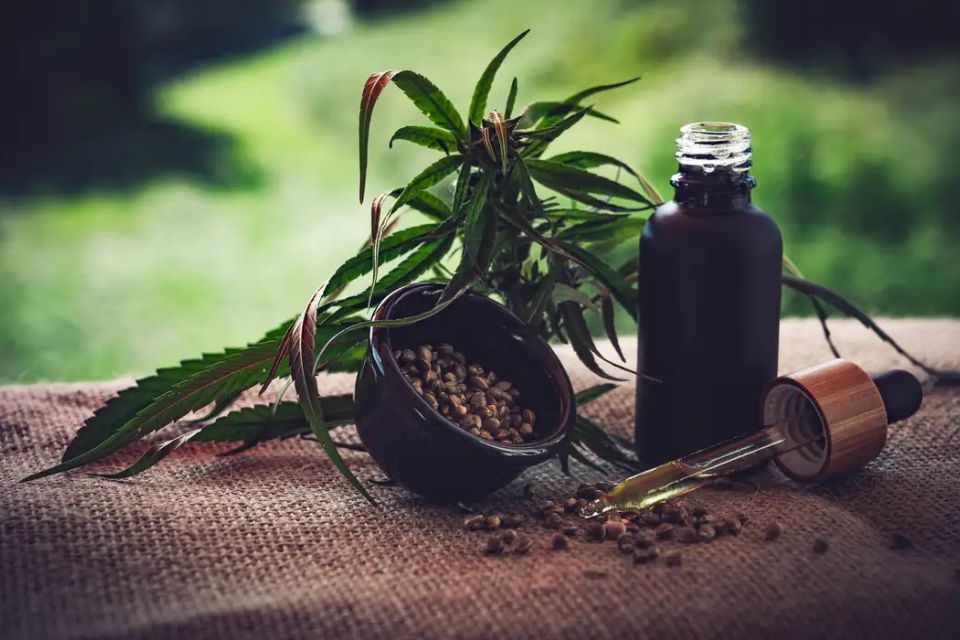 /foto: CBD-Infos-com/ Pixabay