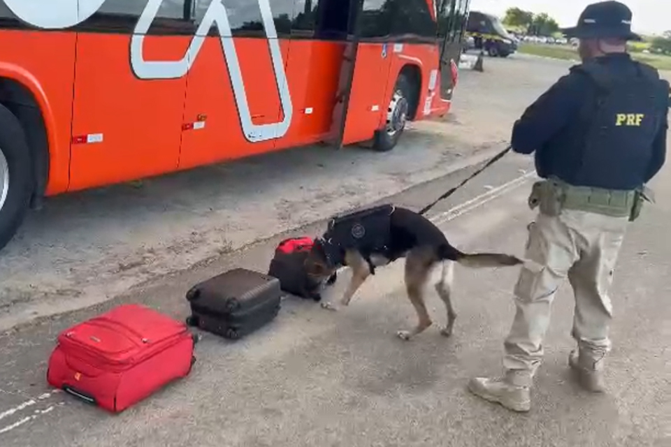 /Divulgação/PRF /Divulgação/PRF