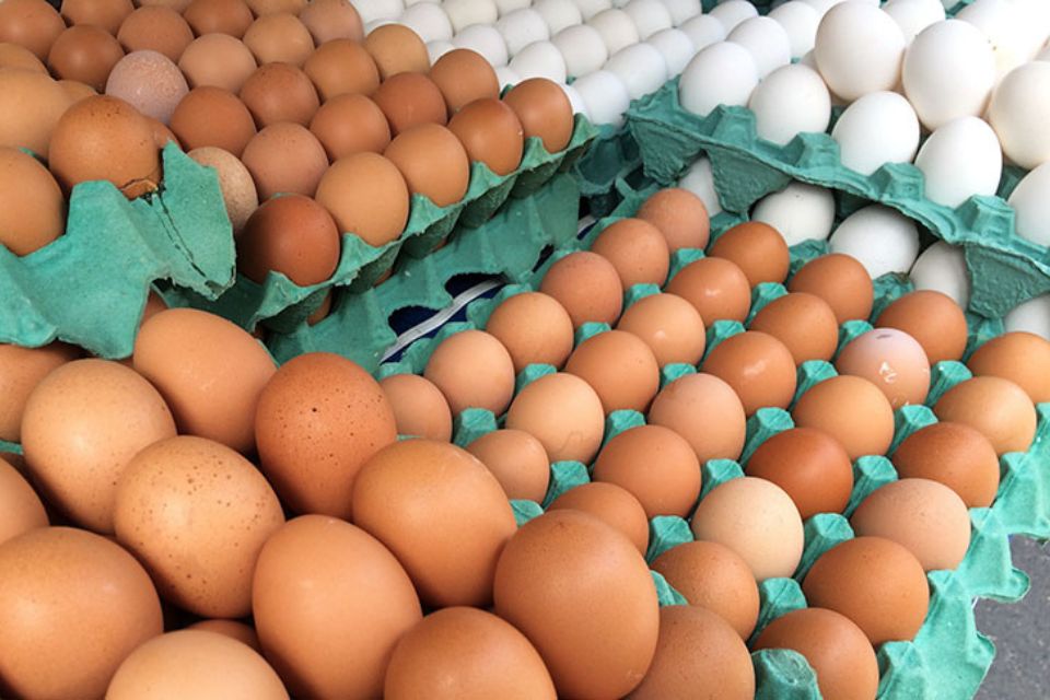 A inflação de alimentos teve um impacto de 45% do IPCA de março/Crédito: Luiz Agner/IBGE A inflação de alimentos teve um impacto de 45% do IPCA de março/Crédito: Luiz Agner/IBGE