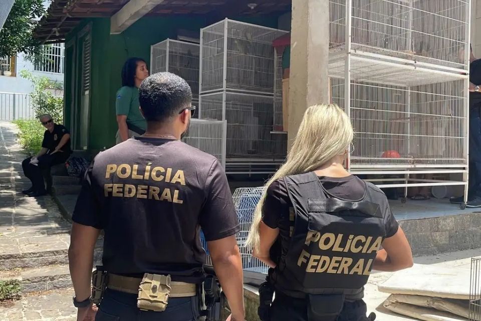 A análise da questão é motivada por uma ação protocolada pela Associação dos Delegados de Polícia do Brasil (Adepol do Brasil)/foto: Polícia Federal/RJ A análise da questão é motivada por uma ação protocolada pela Associação dos Delegados de Polícia do Brasil (Adepol do Brasil)/foto: Polícia Federal/RJ