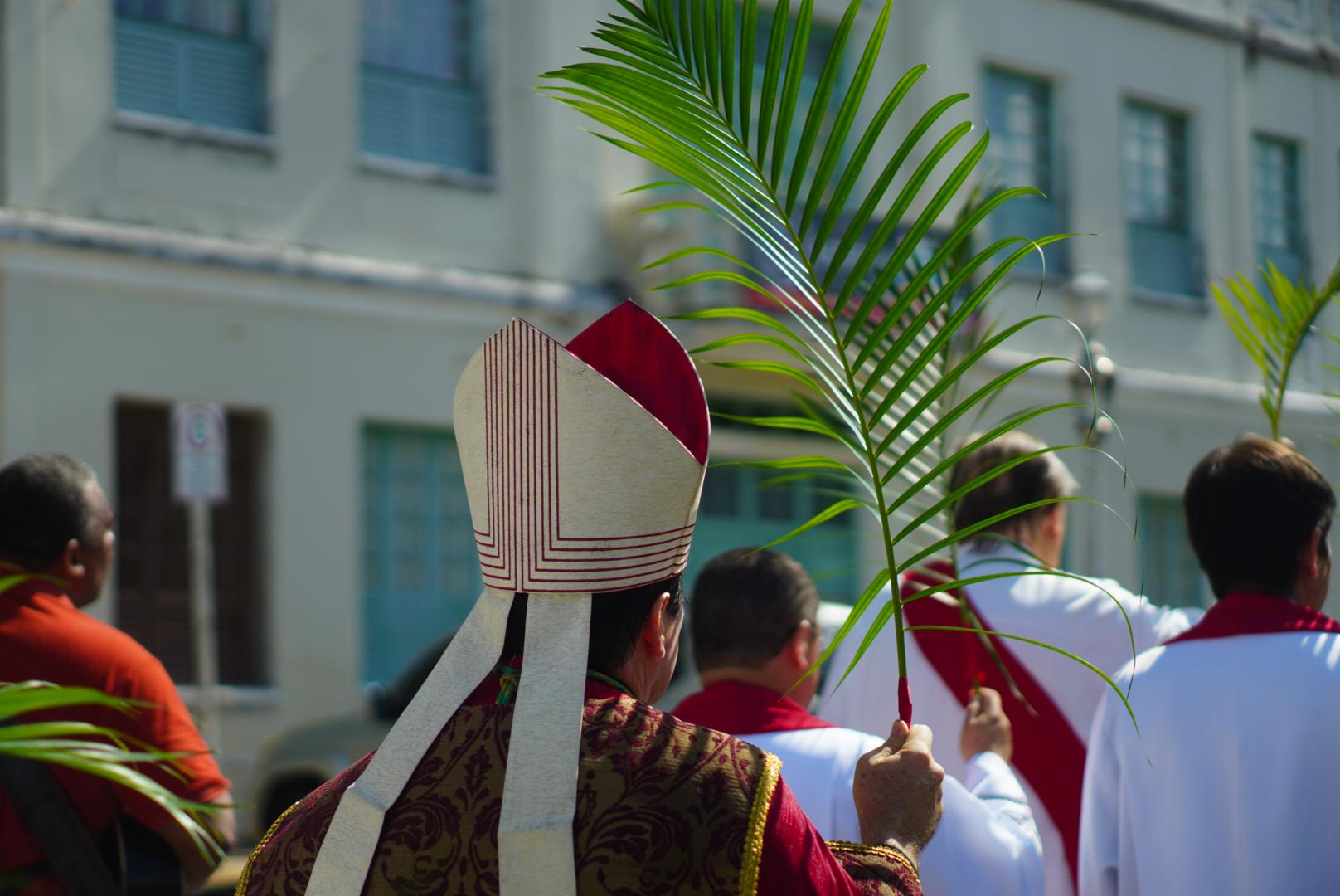 /Foto: Francisco Silva/DP /Foto: Francisco Silva/DP