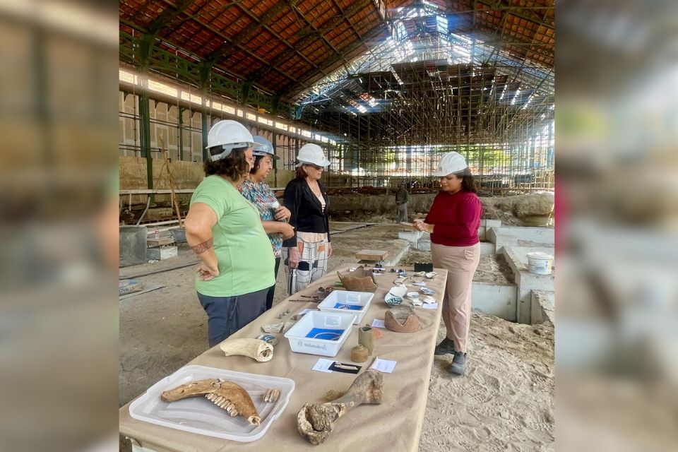 /Foto: Divulgação/ UFRPE /Foto: Divulgação/ UFRPE