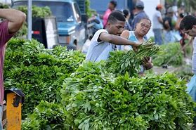 Bredo é alimento típico da Semana Sarna em Pernambuco/Foto: Divulgação