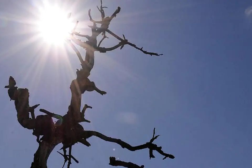 Entre as mudanças percebidas, 96% dos entrevistados citaram aumento de temperatura/foto: Arquivo/Agência Brasil