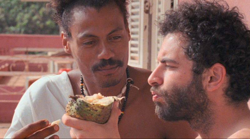 /Vitrine Filmes/Divulgação /Vitrine Filmes/Divulgação
