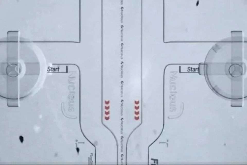 O evento World's First Sperm Race foi organizado pela startup Sperm Racing/Foto: Reprodu&ccedil;&atilde;o/Redes sociais