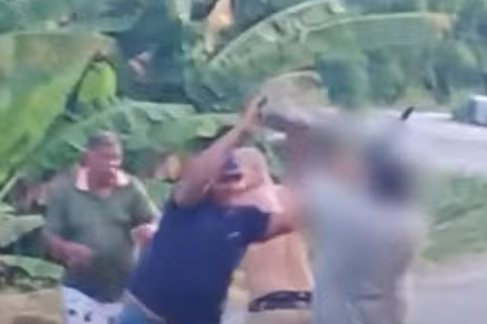 /Reprodu&ccedil;&atilde;o/Rede social