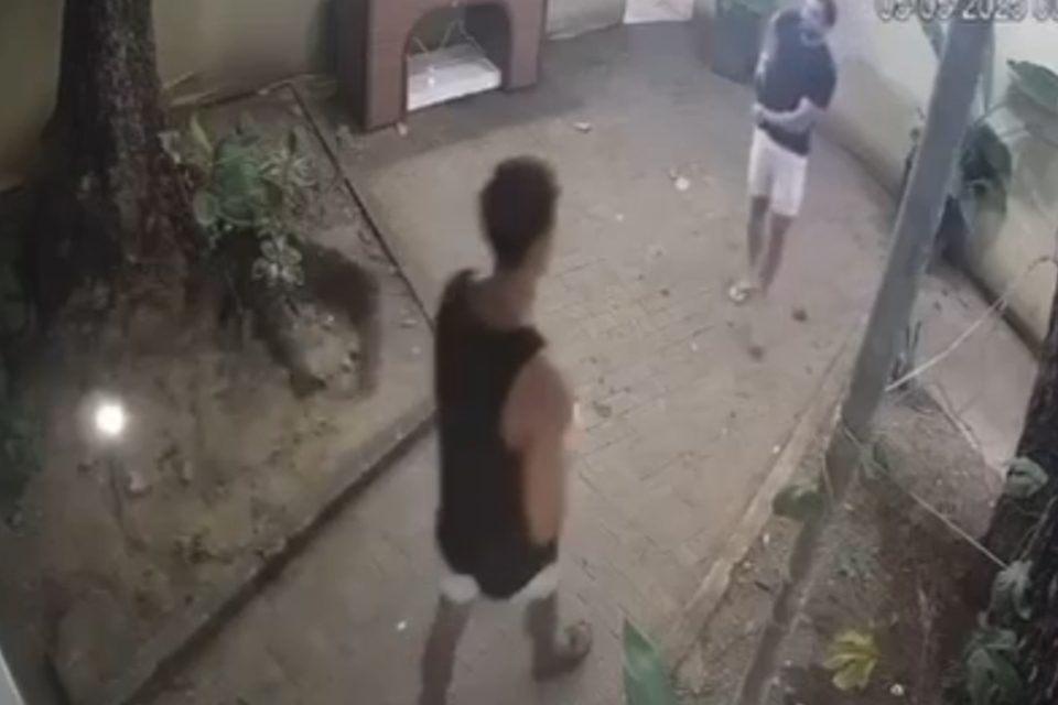 /Reprodução de vídeo /Reprodução de vídeo