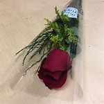 Preço de rosa tem grande variação/Foto: Arquivo