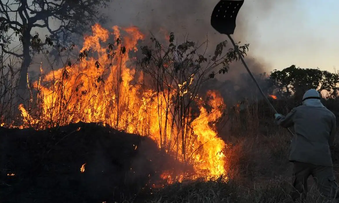 foto: Arquivo/Valter Campanato/Agência Brasil