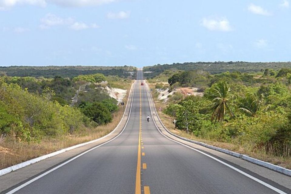 Trabalho de poda do Sinaceg percorreu, em 2024, cerca de 1.870 quilômetros de rodovias nos estados da Bahia, Alagoas e Pernambuco/Arquivo/DP Trabalho de poda do Sinaceg percorreu, em 2024, cerca de 1.870 quilômetros de rodovias nos estados da Bahia, Alagoas e Pernambuco/Arquivo/DP