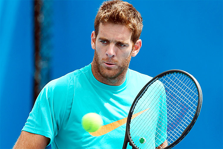 Argentino Juan Martin Del Potro avisou que irá focar em sua recuperação e treinar por mais tempo