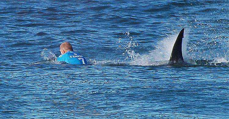 Australiano estava no mar de Jeffrey