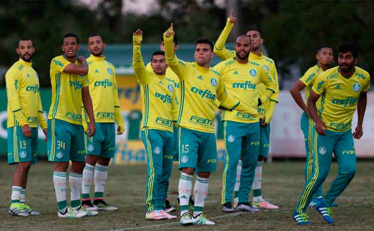 Palmeiras tenta se firmar no Campeonato Brasileiro, depois de ter perdido uma partida e ganhado outra