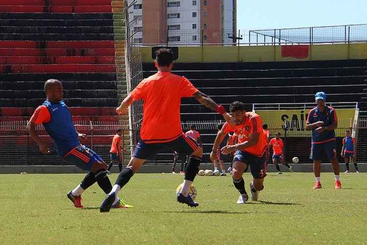 "Toda vez que formos jogar no Sul o ideal seria sair dois ou até dias antes pela diferença na temperatura", disse técnico