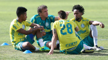 Palmeiras se prepara para jogo contra o Cruzeiro