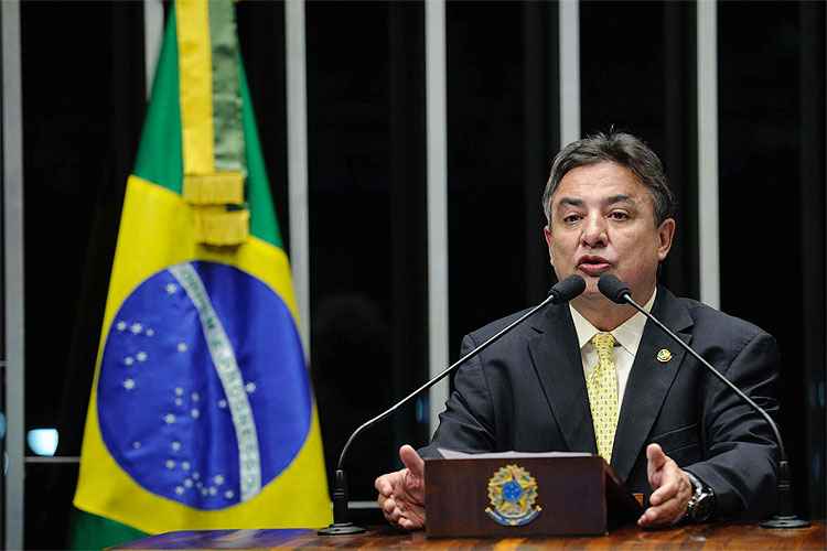 Vicintin acredita que Perrella terá de abrir mão do senado caso queira ser presidente do Cruzeiro