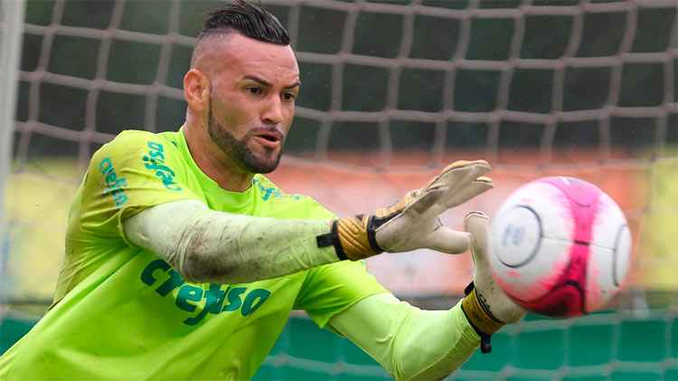 Weverton tem dois fortes concorrentes bastante admirados pela torcida do Palmeiras: Fernando Prass e Jailson