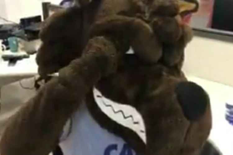 Raposão, mascote do Cruzeiro, realizou o gesto viral do desafio feito pela Chapecoense a clubes da Série A