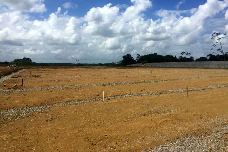 Terraplanagem e drenagem do campo 1 já estão concluídas, faltando apenas o plantio do gramado