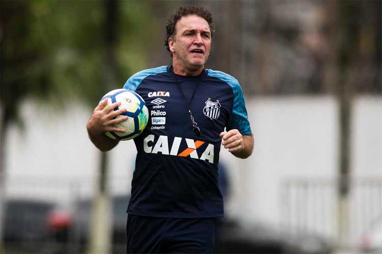 Apesar de derrota para o Palmeiras, Santos de Cuca vive bom momento no Campeonato Brasileiro