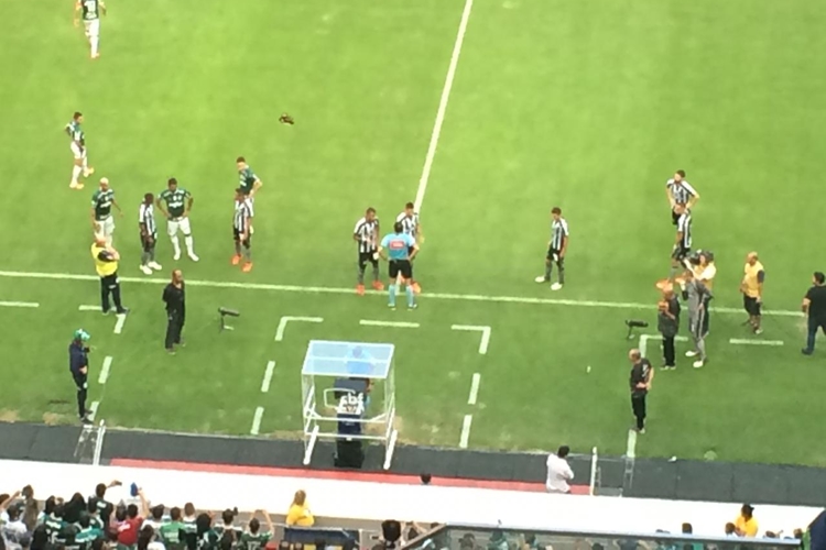 Pressão na hora do VAR na primeira vez que a ferramenta foi usada no Mané Garrincha, em Botafogo x Palmeiras