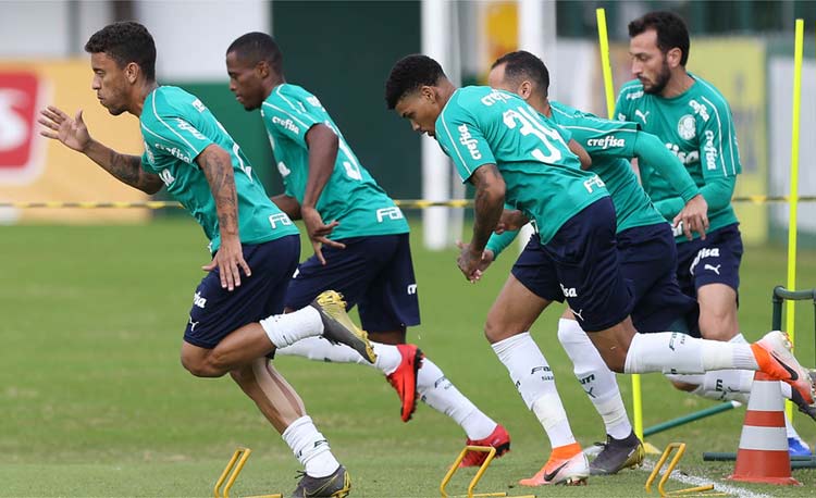 Palmeiras terá seus principais jogadores em Chapecó