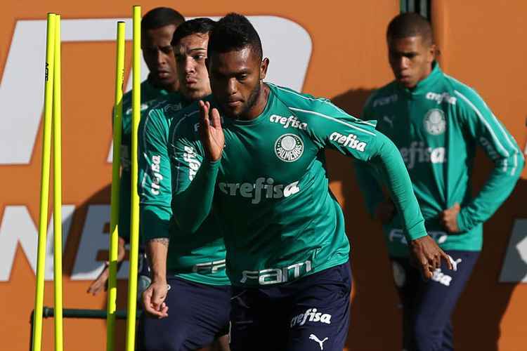 Em 101 jogos pelo Palmeiras, atacante Miguel Borja marcou 33 gols