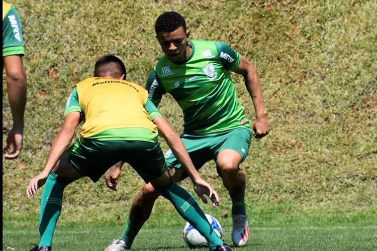 Coelho pode entrar em campo com caras novas na escalação