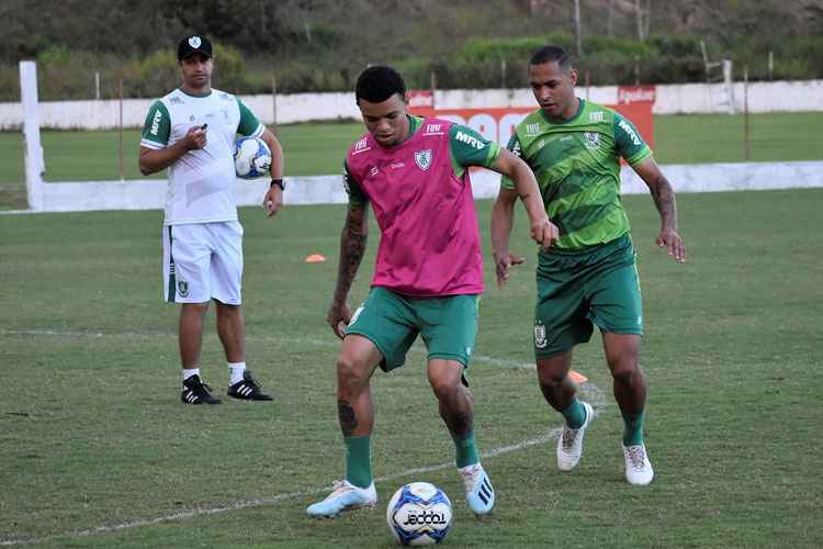 Coelho quer acabar com a invencibilidade do Leão na competição jogando na Ilha do Retiro