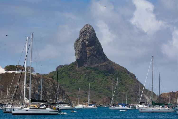 Maior parte dos bacos da Refeno já chegaram a Fernando de Noronha