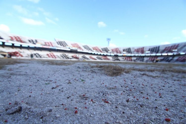 Estádio do Arruda está em processo de troca de gramado