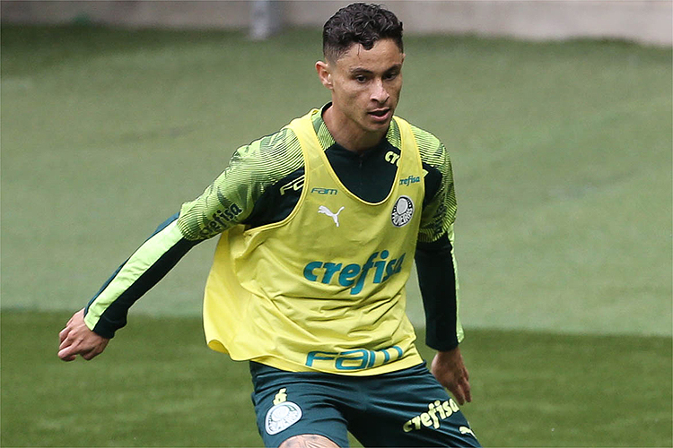 Diogo Barbosa não tem sido escolhido por Luxemburgo para atuar nas partidas oficiais do Palmeiras