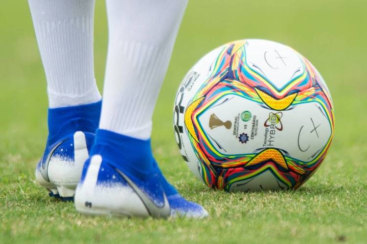 FGF teve reunião virtual com dirigentes e esboçou plano