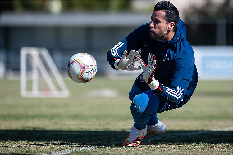 Fábio tem pelo menos 1.033 jogos na carreira, sendo 883 pelo Cruzeiro e 150 com a camisa do Vasco. Não há confirmação quanto ao número de partidas pelo União Bandeirante, do Paraná, clube que o goleiro defendeu em 1997
