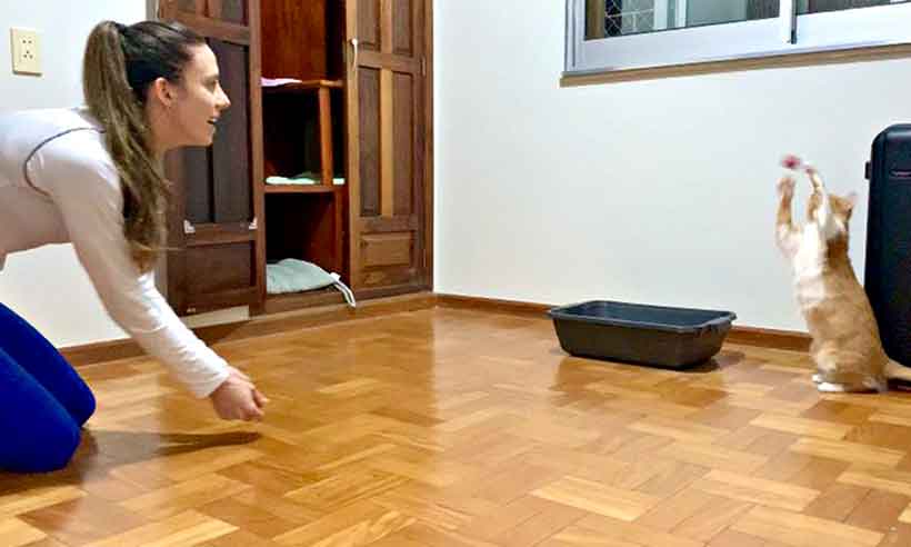 A levantadora Macris, do Minas, aproveita pra curtir seus quatro gatos