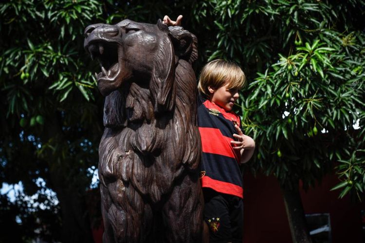 São várias atrações previstas para acontecer na folia dos jovens leoninos