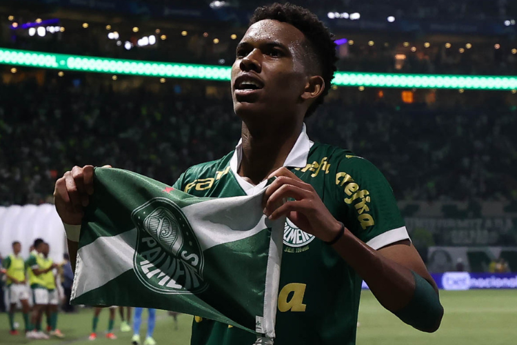 Cesar Greco/Palmeiras