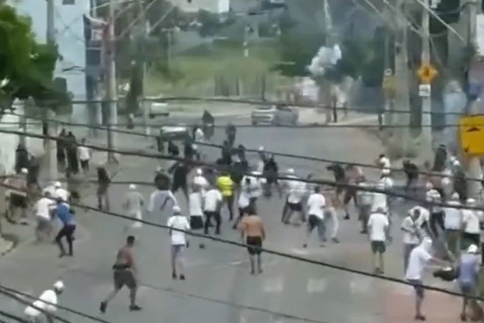 /Reprodu&ccedil;&atilde;o