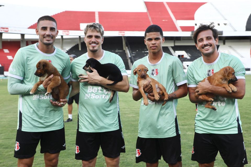 Prefeitura do Recife e Santa Cruz promovem campanha de adoção de animais no Arruda

